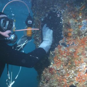 uw photo 3 300x300 1 Diver Underwater Thickness Gauge | EC Hopkins Limited